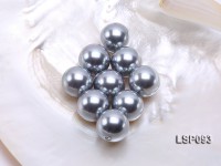 Wholesale 20mm Silver Grey Round Seashell Pearl Bead