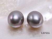 Wholesale 15x18mm Oval Seashell Pearl Bead