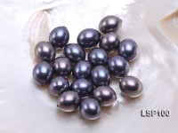 Wholesale 14.5×17.5mm Black Oval Seashell Pearl Bead