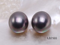 Wholesale 14.5×17.5mm Black Oval Seashell Pearl Bead