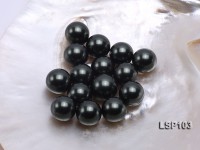 Wholesale 18mm Black Round Seashell Pearl Bead