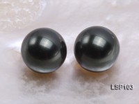 Wholesale 18mm Black Round Seashell Pearl Bead