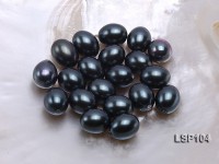 Wholesale 14x18mm Black Oval Seashell Pearl Bead