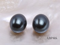 Wholesale 14x18mm Black Oval Seashell Pearl Bead