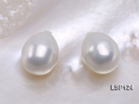Wholesale 10X13mm Teardrop Loose Seashell Pearl