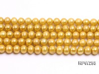 Wholesale 8.5mm Golden Round Freshwater Pearl String