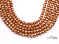 Wholesale 9-10mm Golden Round Freshwater Pearl String