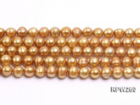Wholesale 8.5-9mm Golden Round Freshwater Pearl String