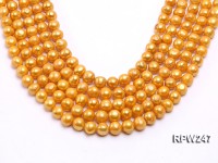 Wholesale 10-11mm Golden Round Freshwater Pearl String