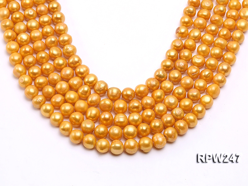 Wholesale 10-11mm Golden Round Freshwater Pearl String