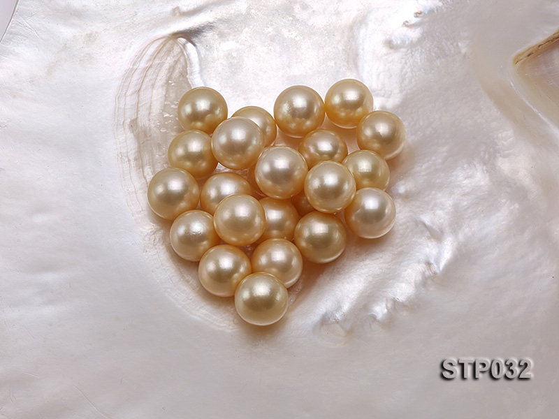 12-13mm Golden Round South Sea Pearl