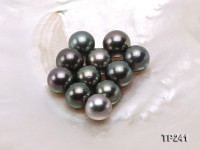 15-16mm Black Round Loose Tahitian Pearls