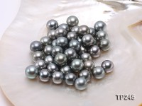 13-14mm Black Round Loose Tahitian Pearls