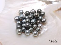 13-14mm Black Round Loose Tahitian Pearls