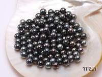 How to Get Your Hands on Precious Pearls & Pearl Wholesale Products