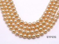 Wholesale 12-16mm Round Golden South Sea Pearl Loose String