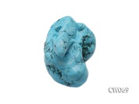 Stylish 55x40mm Blue Lizard-shaped Turquoise Craftwork
