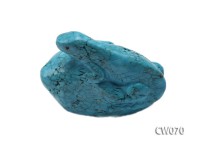 Stylish 64x32mm Blue Lizard-shaped Turquoise Craftwork