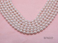 Wholesale 8x10mm White Oval Seashell Pearl String