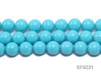 Wholesale 20mm Sky-blue Round Seashell Pearl String