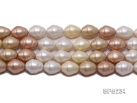 Wholesale 17x20mm Multi-color Oval Seashell Pearl String