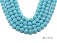 Wholesale 16mm Round Sky-blue  Seashell Pearl String