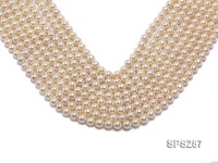 Wholesale 8mm Round Golden Seashell Pearl String