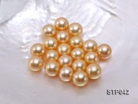 13-14mm Golden Round South Sea Pearl