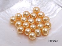 13-14mm Golden Round South Sea Pearl