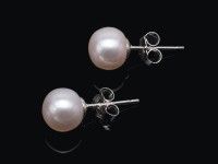 Exquisite 8mm Flat Round White Freshwater Pearl Stud Earrings